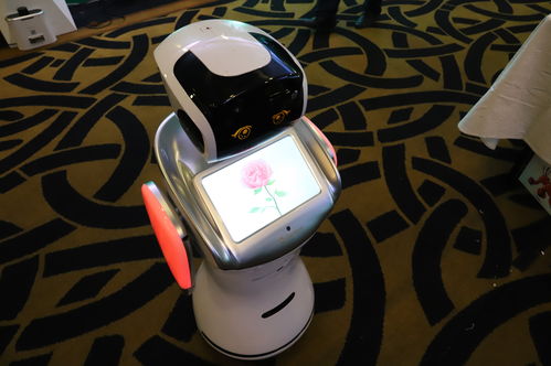 順應(yīng)時(shí)代，點(diǎn)燃夢想 騰瑪人工智能新品發(fā)布會暨開業(yè)盛典